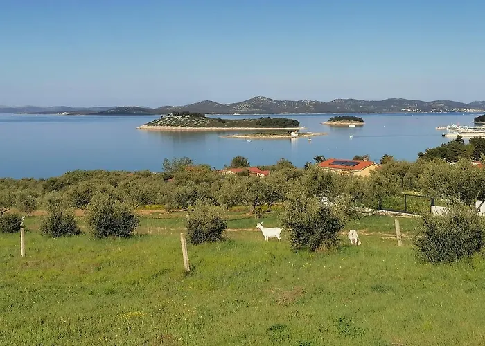 Small Punta Apartment