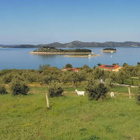 Small Punta アパート